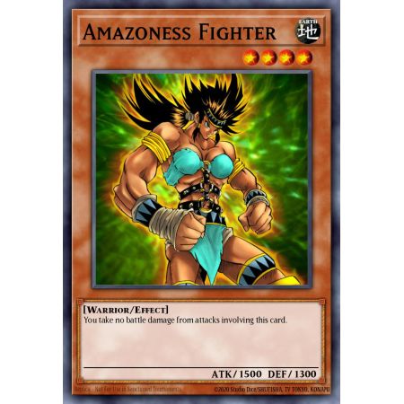 Amazoness Fighter (Common)