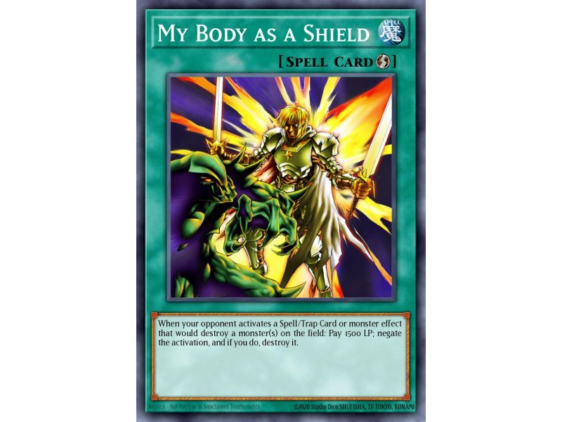 My Body as a Shield (Common)