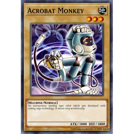 Acrobat Monkey (Common)