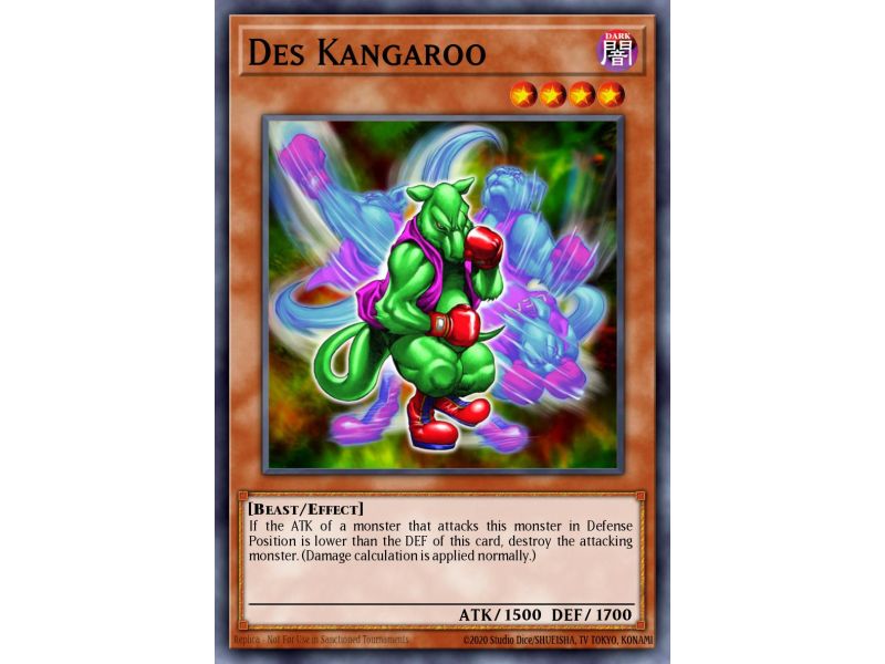 Des Kangaroo (Common)