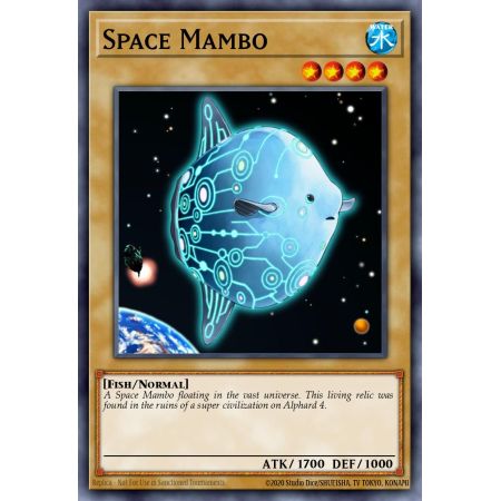 Space Mambo (Common)