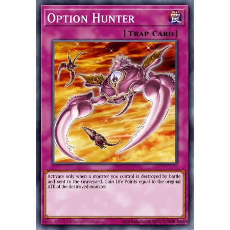 Option Hunter (Common)