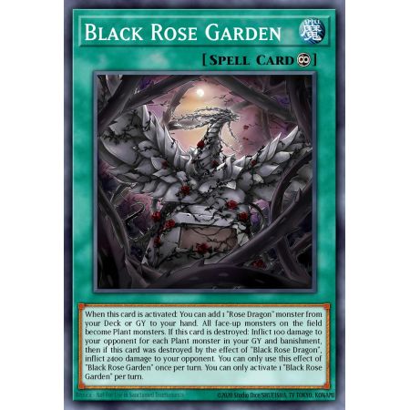 Black Rose Garden (Starlight Rare)