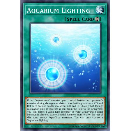 Aquarium Lighting (Super Rare)