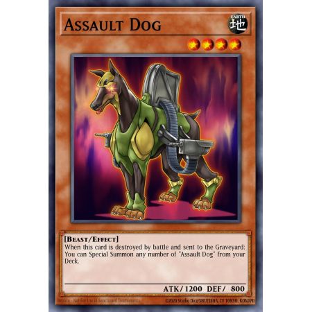Assault Dog (Common)