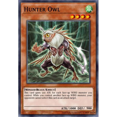 Hunter Owl (Common)