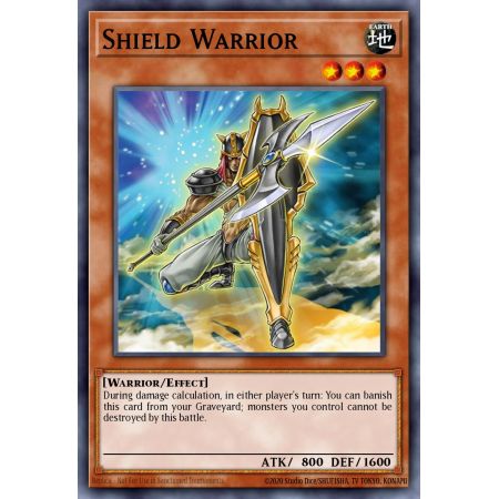 Shield Warrior (Common)