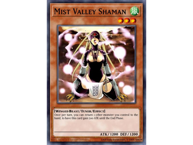 Mist Valley Shaman (Duel Terminal Super Parallel Rare)