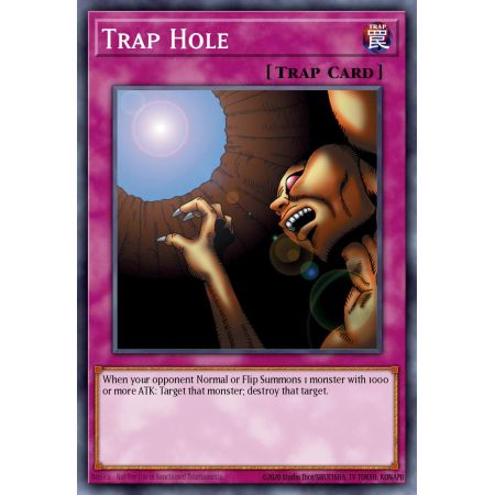 Trap Hole (Duel Terminal Normal Parallel Rare)