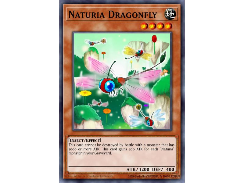 Naturia Dragonfly (Duel Terminal Normal Parallel Rare)