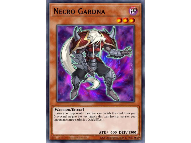 Necro Gardna (Duel Terminal Normal Parallel Rare)
