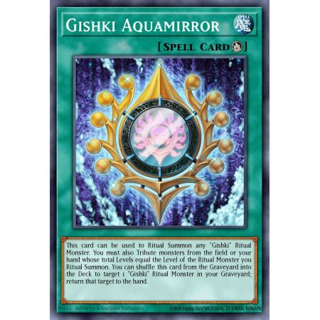 Gishki Aquamirror (Duel Terminal Normal Parallel Rare)