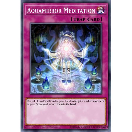 Aquamirror Meditation (Duel Terminal Rare Parallel Rare)