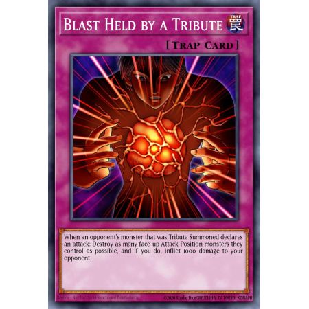 Blast Held by a Tribute (Duel Terminal Normal Parallel Rare)