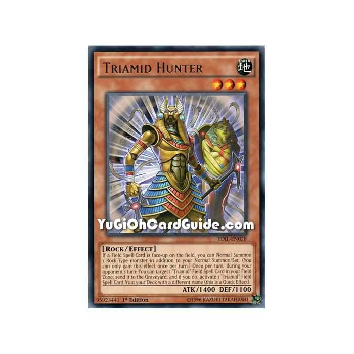 Triamid Hunter (Rare) – The Dark Illusion | Carta YUGIOH en México