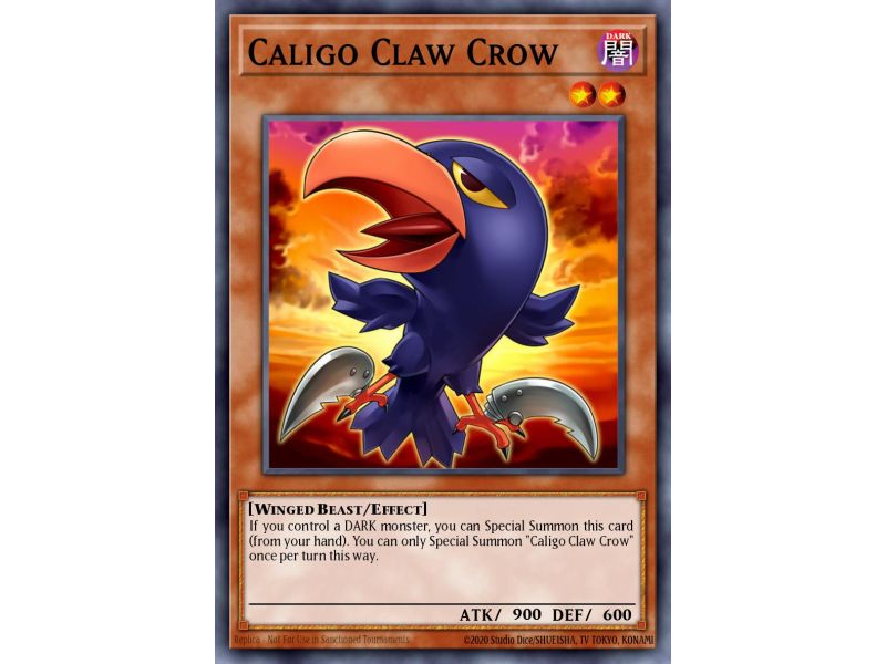 Caligo Claw Crow (Common)