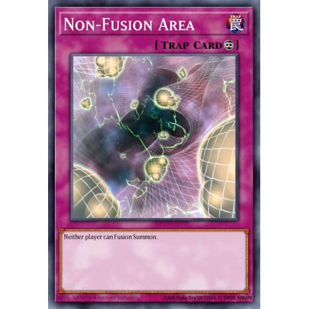 Non-Fusion Area (Common)
