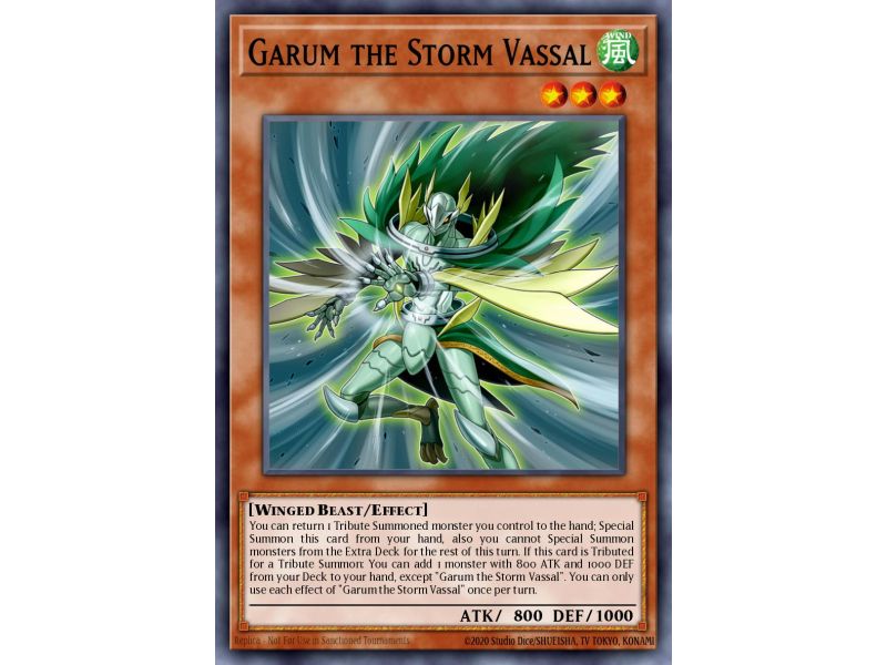 Garum the Storm Vassal (Common)