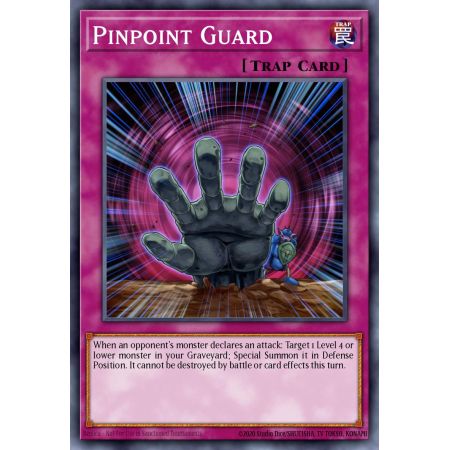 Pinpoint Guard (Common)