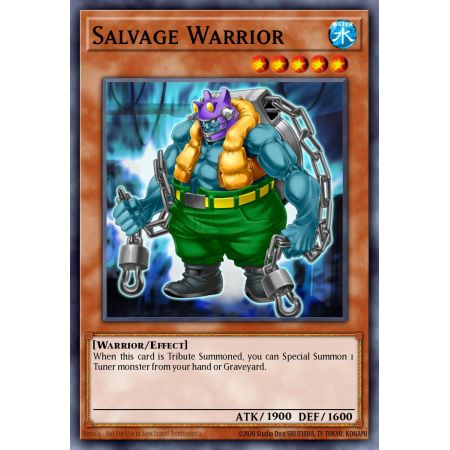 Salvage Warrior (Rare)