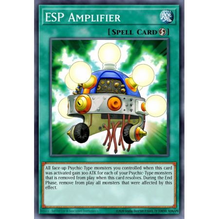 ESP Amplifier (Common)