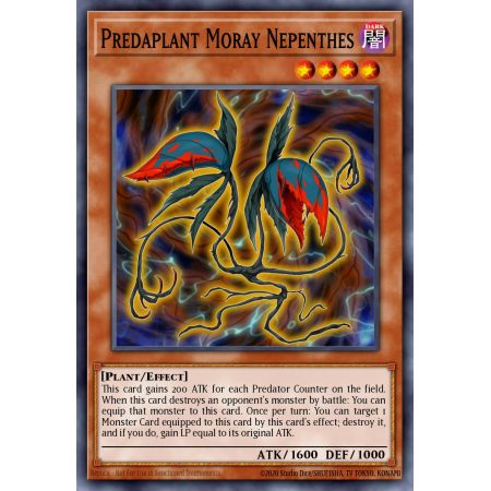 Predaplant Moray Nepenthes (Super Rare)