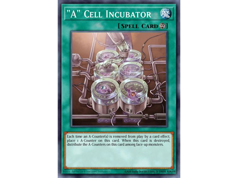 "A" Cell Incubator (Common)