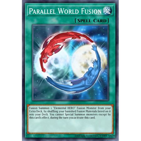 Parallel World Fusion (Common)