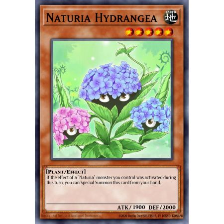 Naturia Hydrangea (Super Rare)