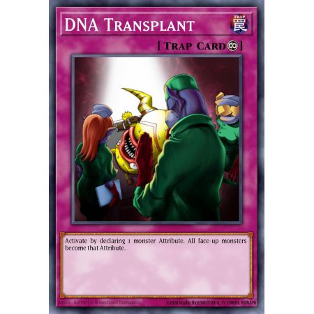 DNA Transplant (Common)