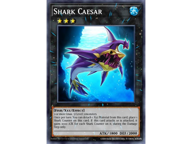 Shark Caesar (Common)