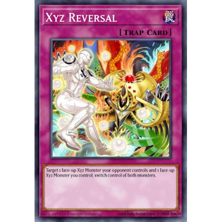 Xyz Reversal (Common)