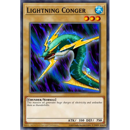 Lightning Conger (Common)