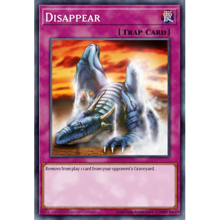 Disappear (Common)