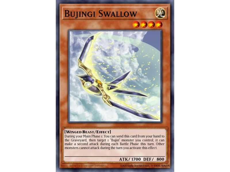 Bujingi Swallow (Common)