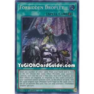 Forbidden Droplet (Secret Rare) – Rise of the Duelist | Carta YUGIOH en México