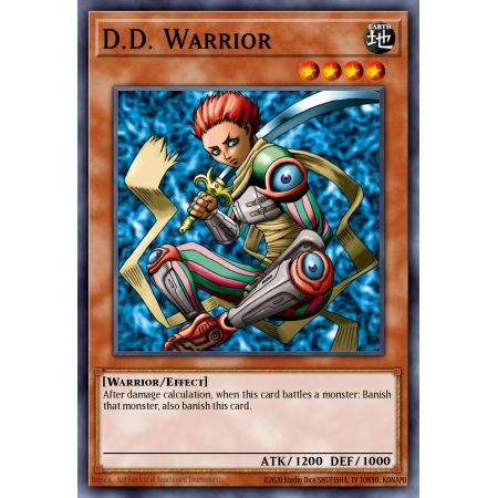 D.D. Warrior (Rare)