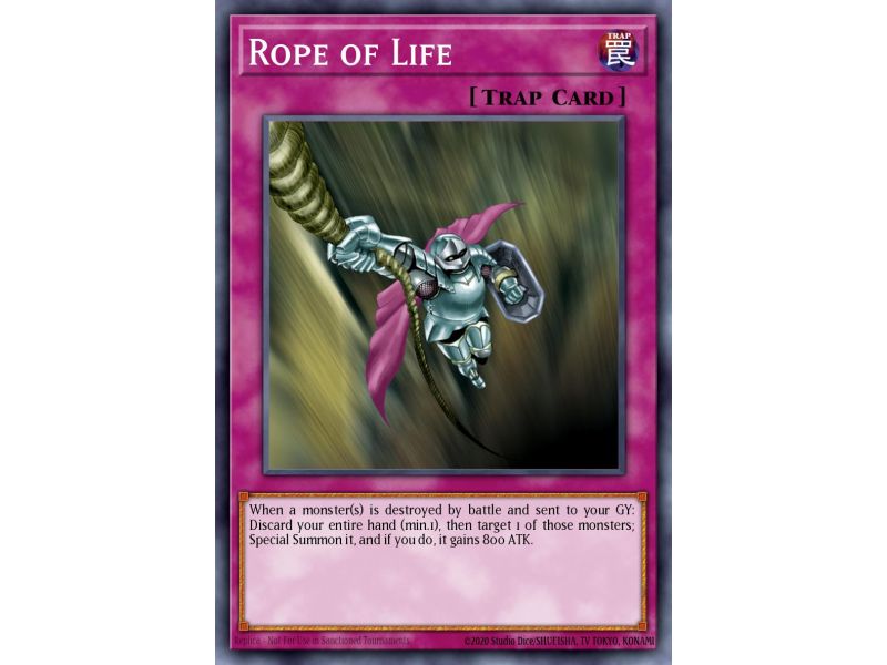 Rope of Life (Common)
