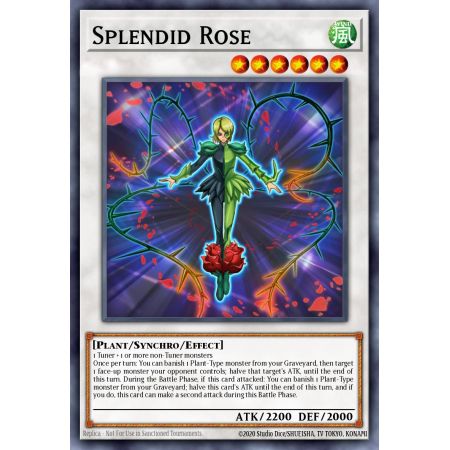Splendid Rose (Rare)