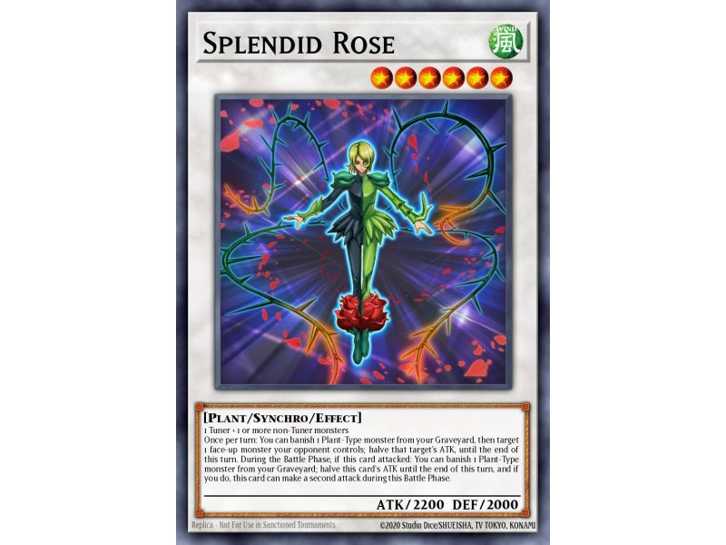 Splendid Rose (Rare)