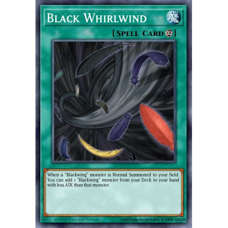 Black Whirlwind (Ultra Rare)