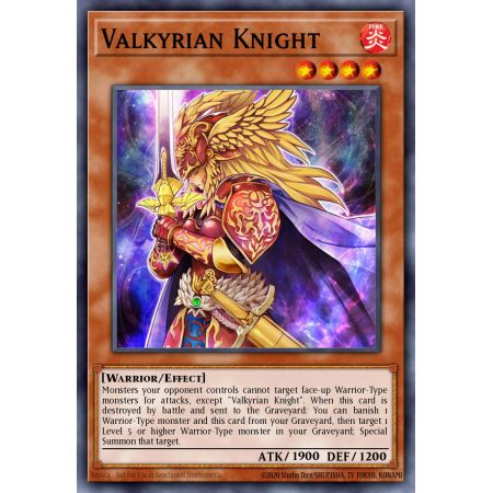Valkyrian Knight (Common)