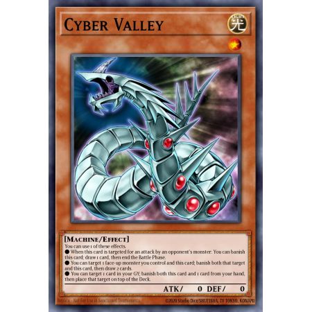 Cyber Valley (Common)