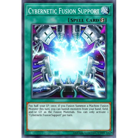 Cybernetic Fusion Support (Common)