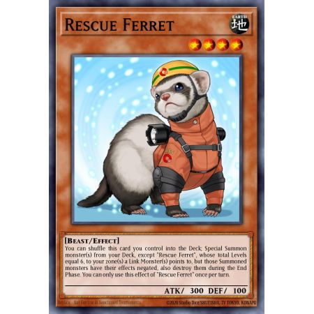 Rescue Ferret (Common)