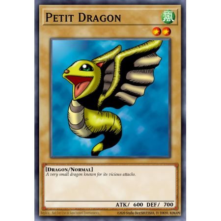 Petit Dragon (Common)