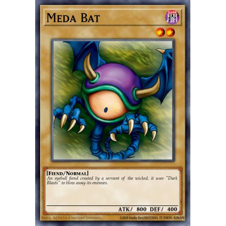 Meda Bat (Common)