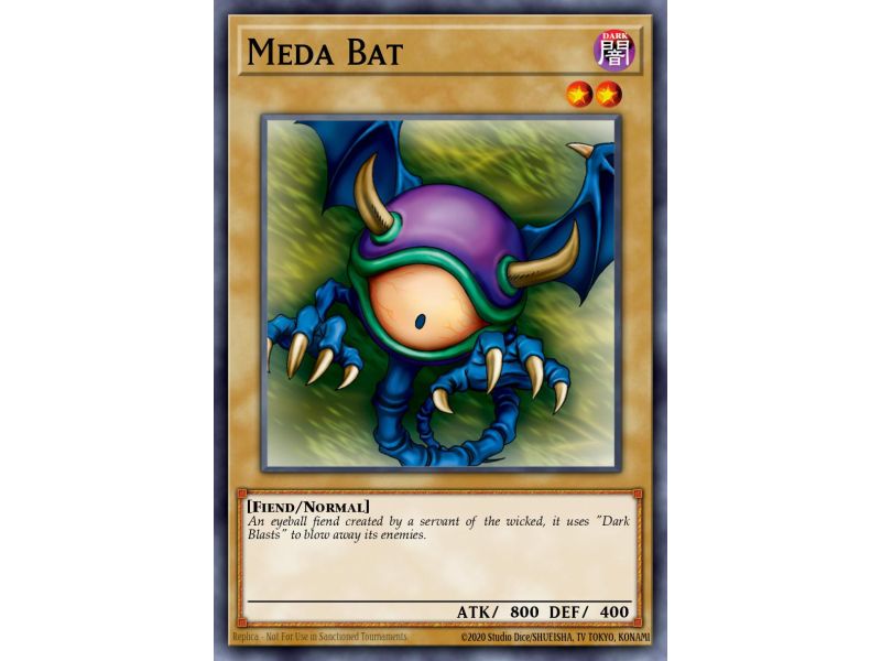 Meda Bat (Common)