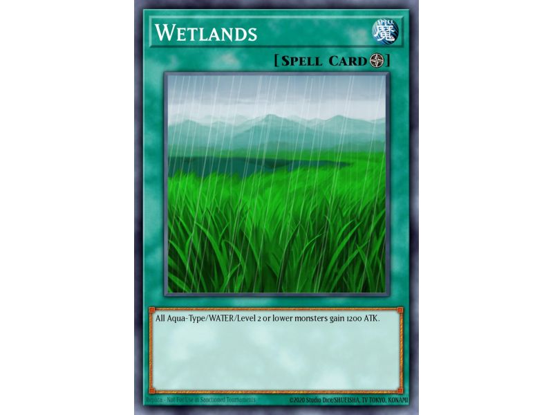 Wetlands (Common)
