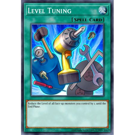 Level Tuning (Common)